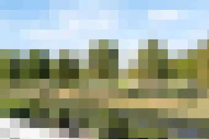 Van Embdenruimte 45 Zoetermeer thumbnail 28