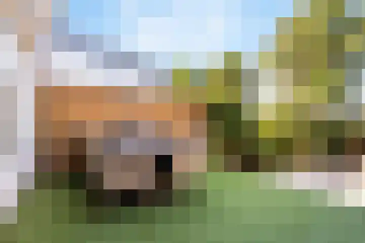 Van Embdenruimte 45 Zoetermeer thumbnail 30