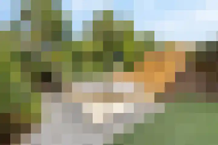 Van Embdenruimte 45 Zoetermeer thumbnail 31