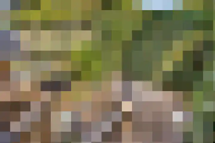 Van Embdenruimte 45 Zoetermeer thumbnail 32