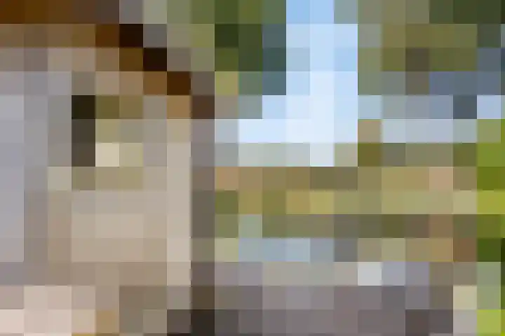 Van Embdenruimte 45 Zoetermeer thumbnail 34