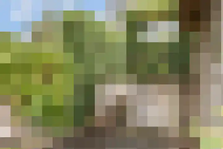 Van Embdenruimte 45 Zoetermeer thumbnail 36