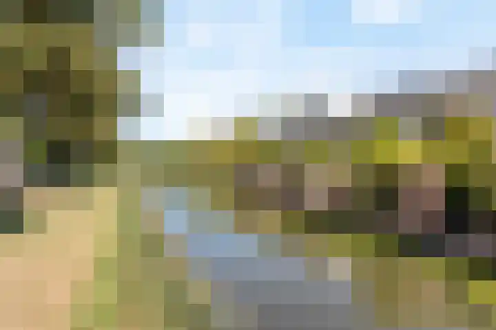 Van Embdenruimte 45 Zoetermeer thumbnail 39