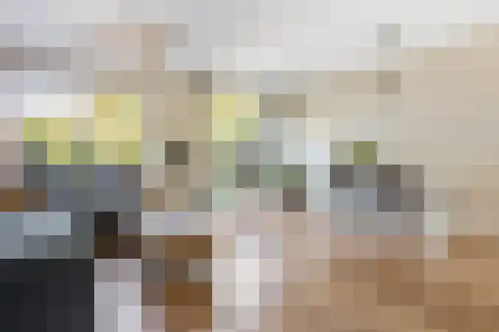 Van Embdenruimte 45 Zoetermeer thumbnail 4