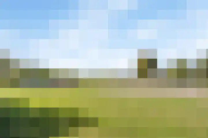 Van Embdenruimte 45 Zoetermeer thumbnail 43