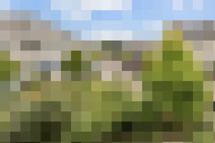 Van Embdenruimte 45 Zoetermeer thumbnail 45