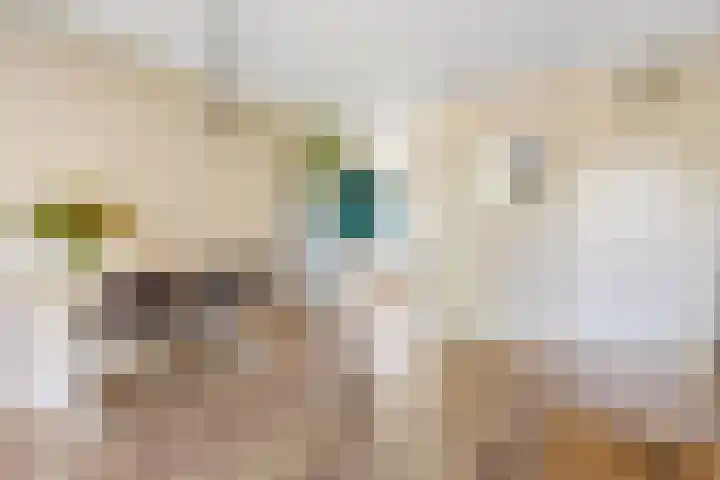 Van Embdenruimte 45 Zoetermeer thumbnail 8