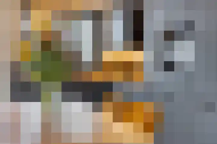 Van Embdenruimte 49 Zoetermeer thumbnail 14