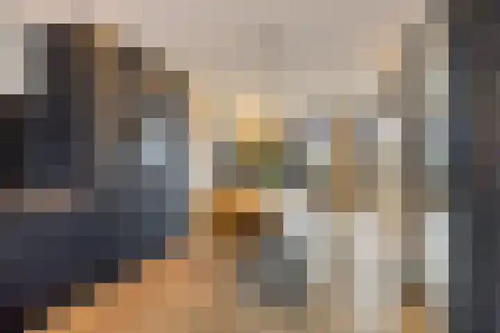 Van Embdenruimte 49 Zoetermeer thumbnail 16