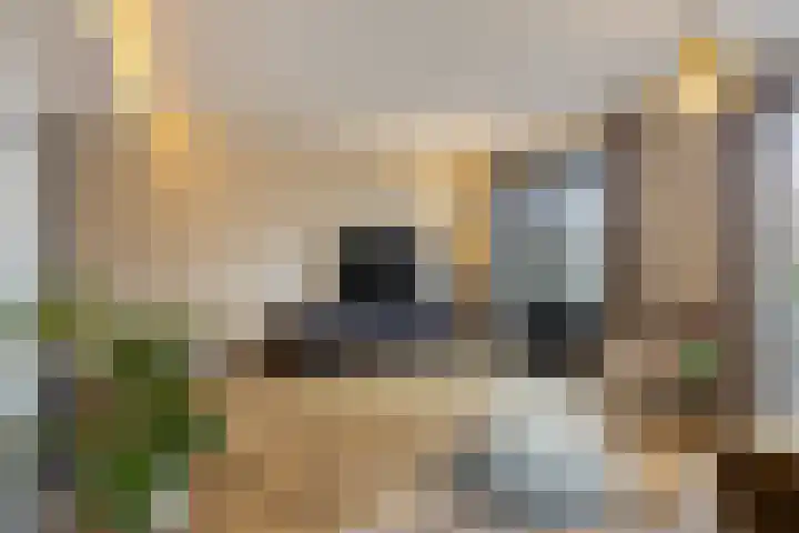 Van Embdenruimte 49 Zoetermeer thumbnail 19