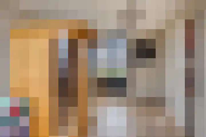 Van Embdenruimte 49 Zoetermeer thumbnail 35