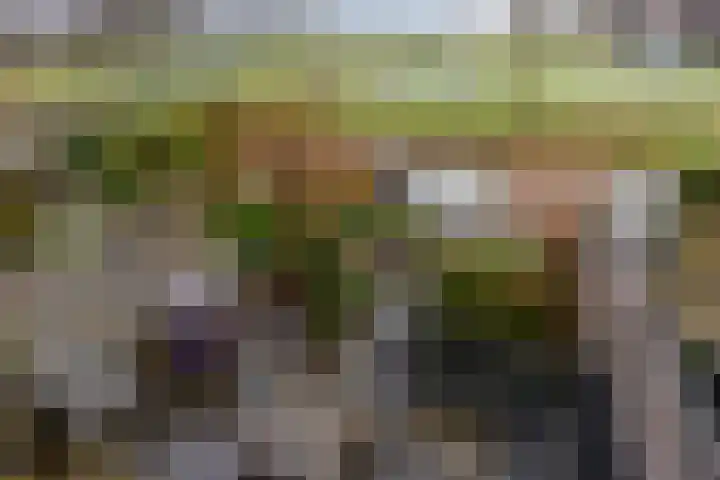 Van Embdenruimte 49 Zoetermeer thumbnail 36