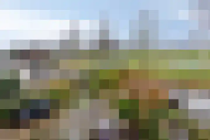 Van Embdenruimte 49 Zoetermeer thumbnail 37