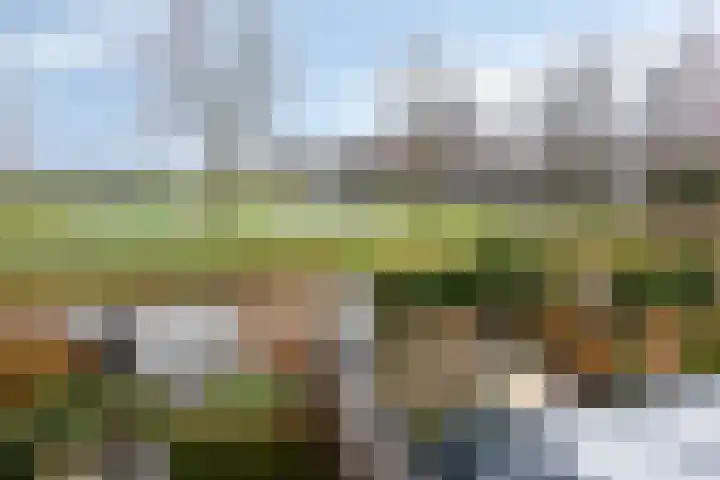 Van Embdenruimte 49 Zoetermeer thumbnail 38