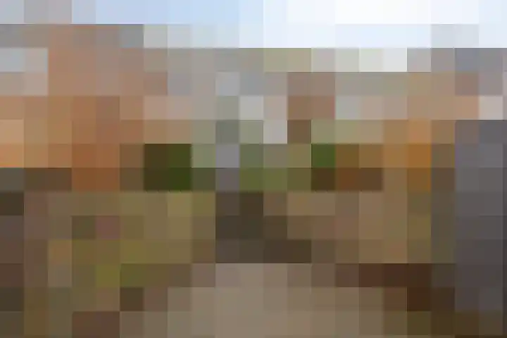 Van Embdenruimte 49 Zoetermeer thumbnail 41