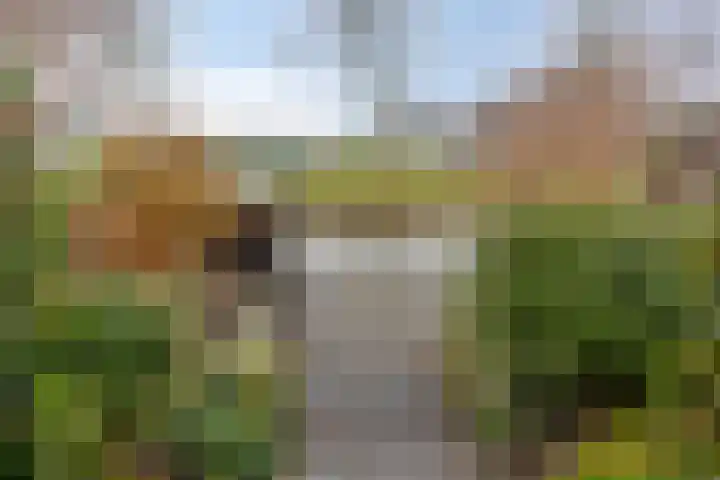 Van Embdenruimte 49 Zoetermeer thumbnail 42