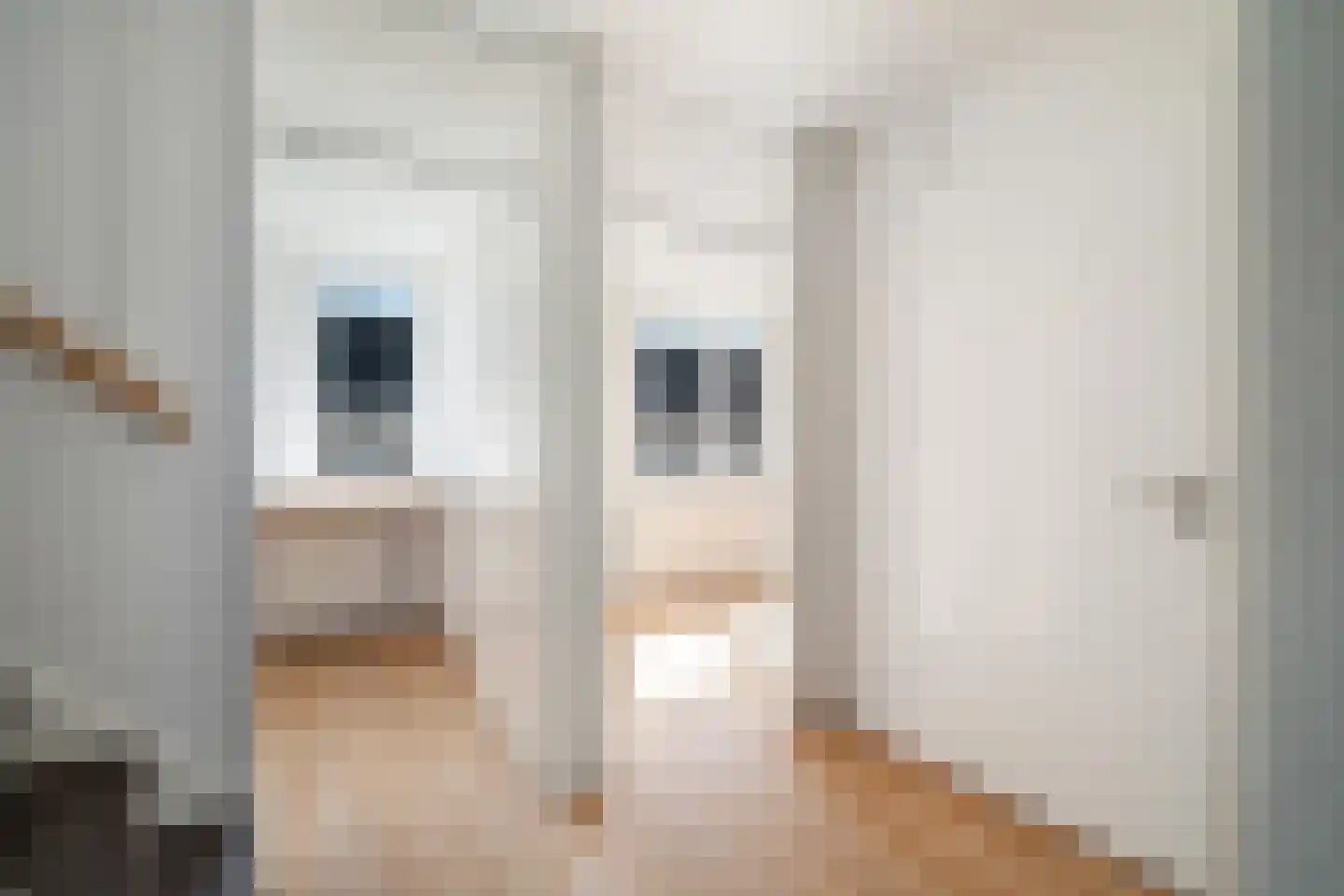 Van Embdenruimte 61 Zoetermeer thumbnail 32