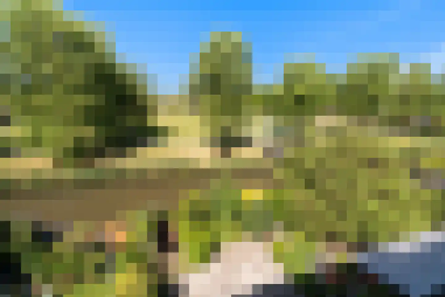 Van Embdenruimte 61 Zoetermeer thumbnail 46