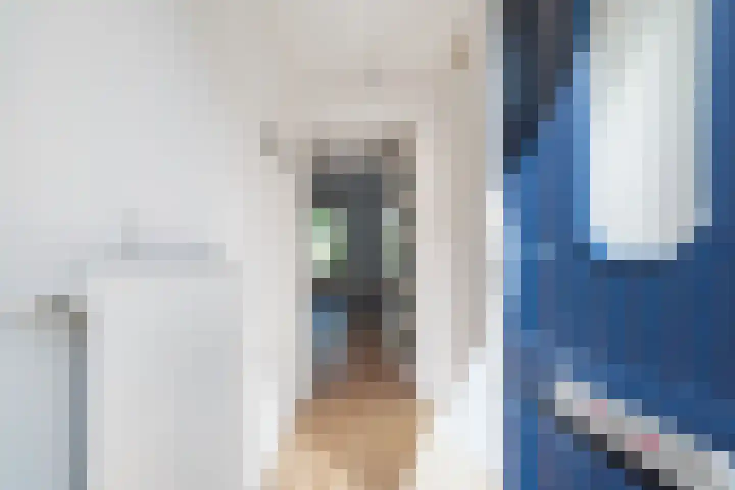 Van Embdenruimte 61 Zoetermeer thumbnail 8