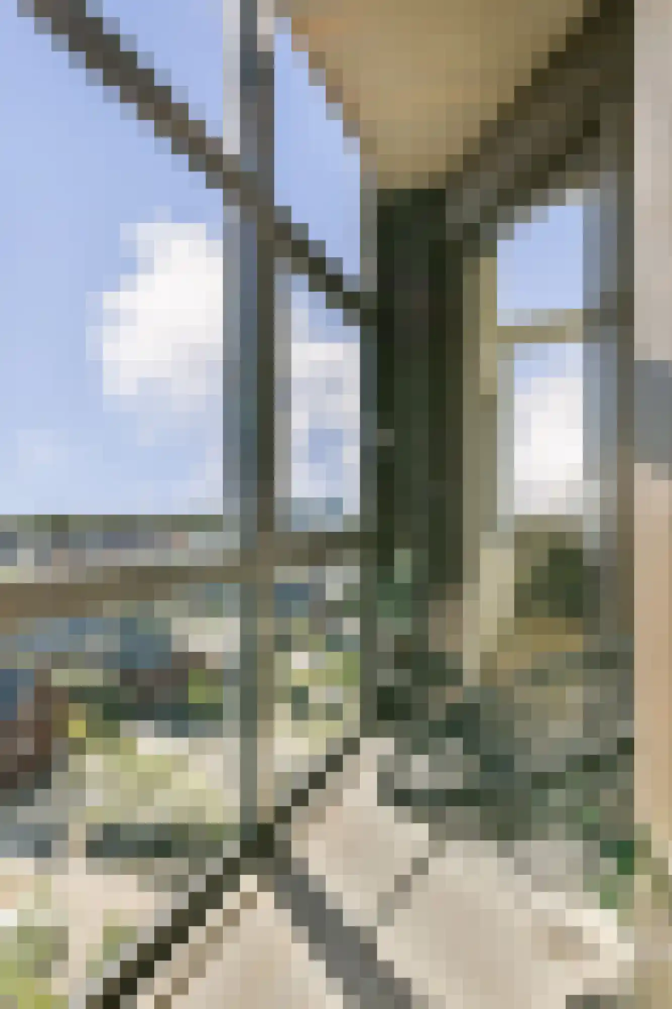 Van Embdenstraat 112 Delft thumbnail 16