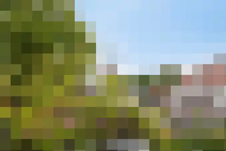 Van Embdenstraat 8 Maassluis thumbnail 26