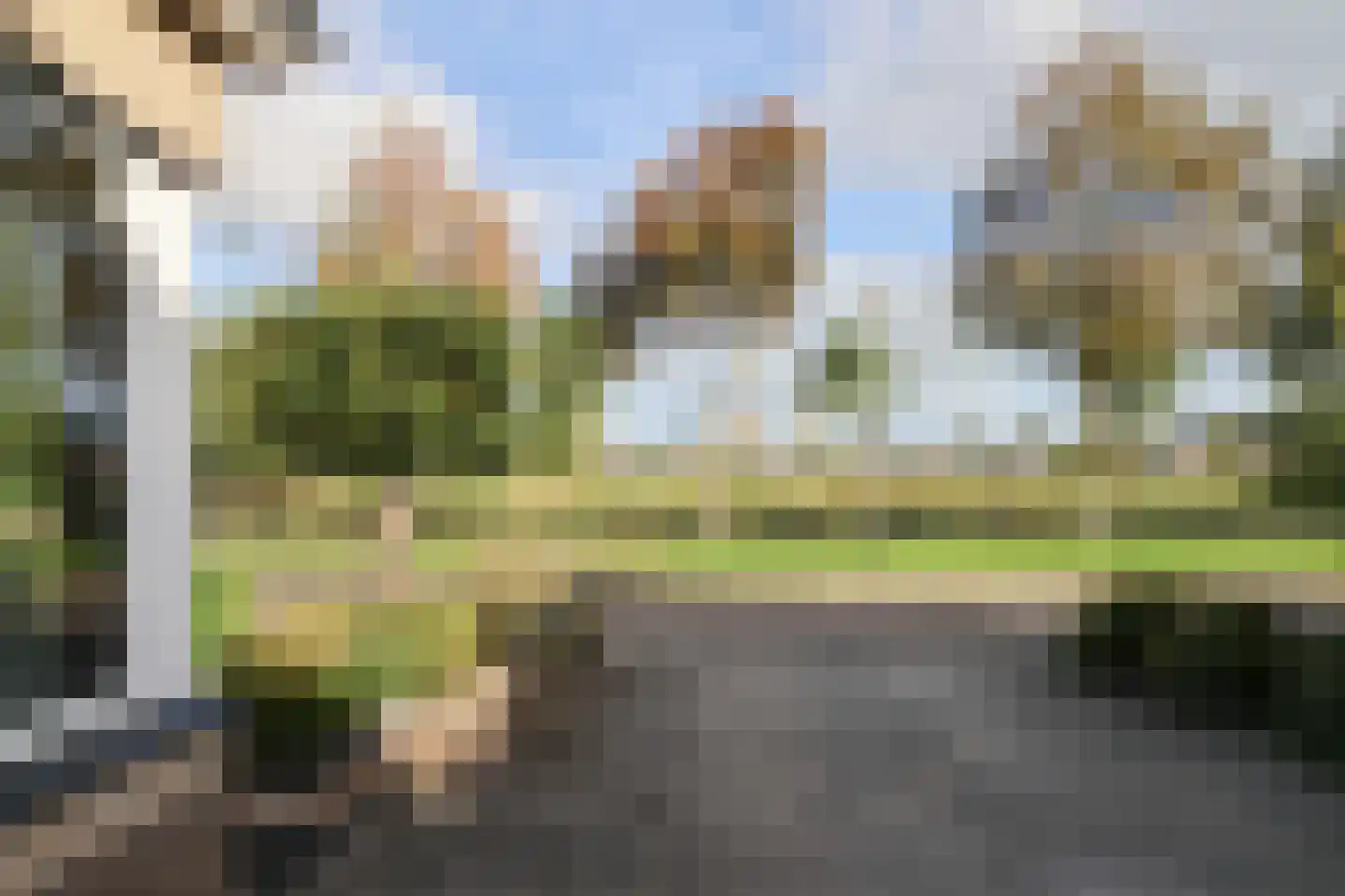 van Emingaleane 4 Goutum thumbnail 12