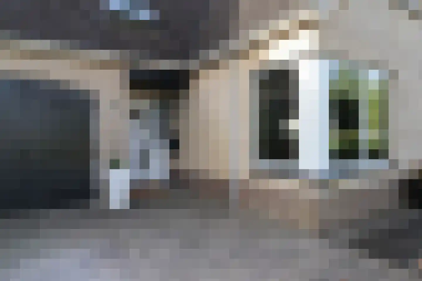 van Emingaleane 4 Goutum thumbnail 14
