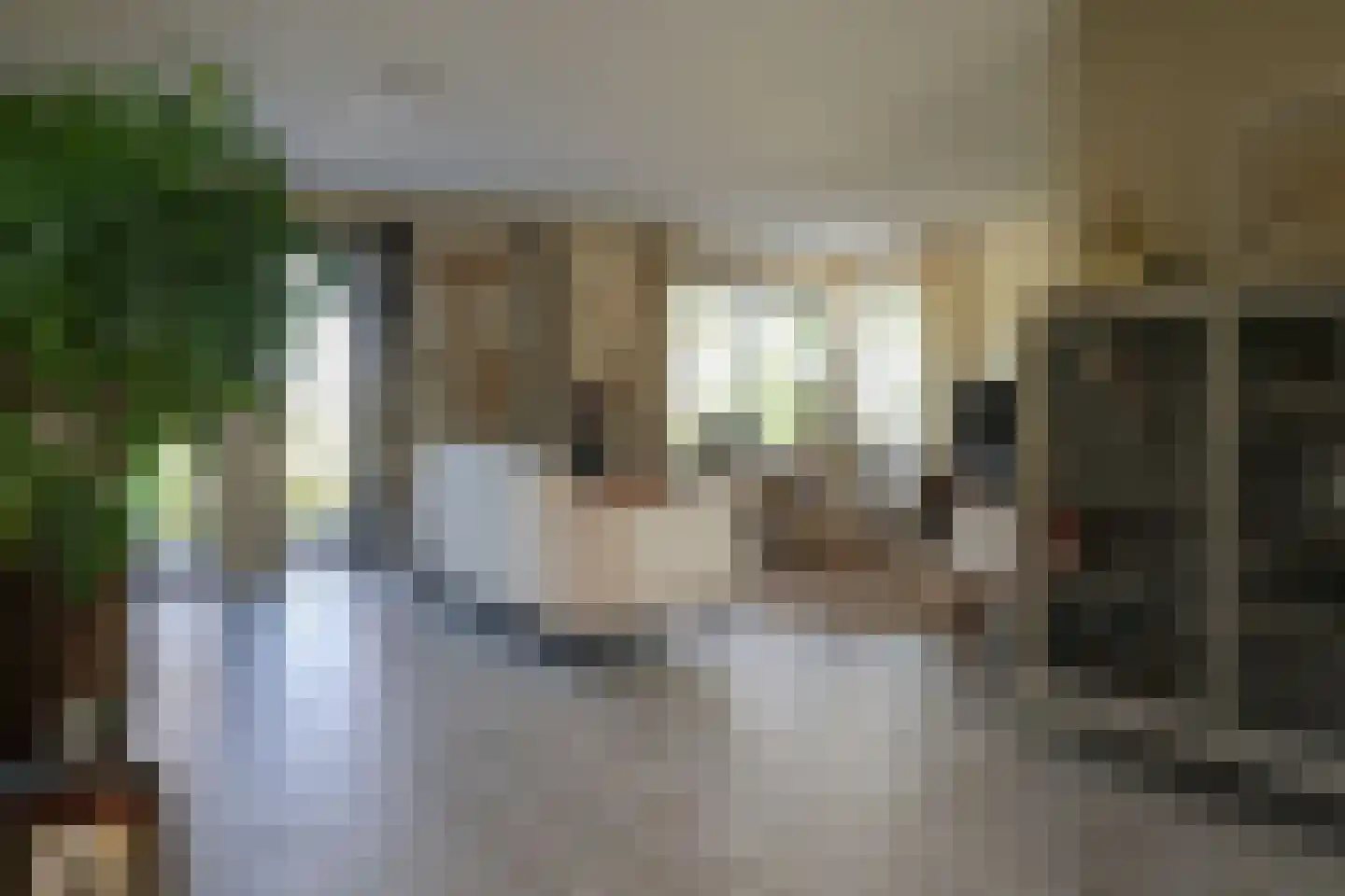 van Emingaleane 4 Goutum thumbnail 19