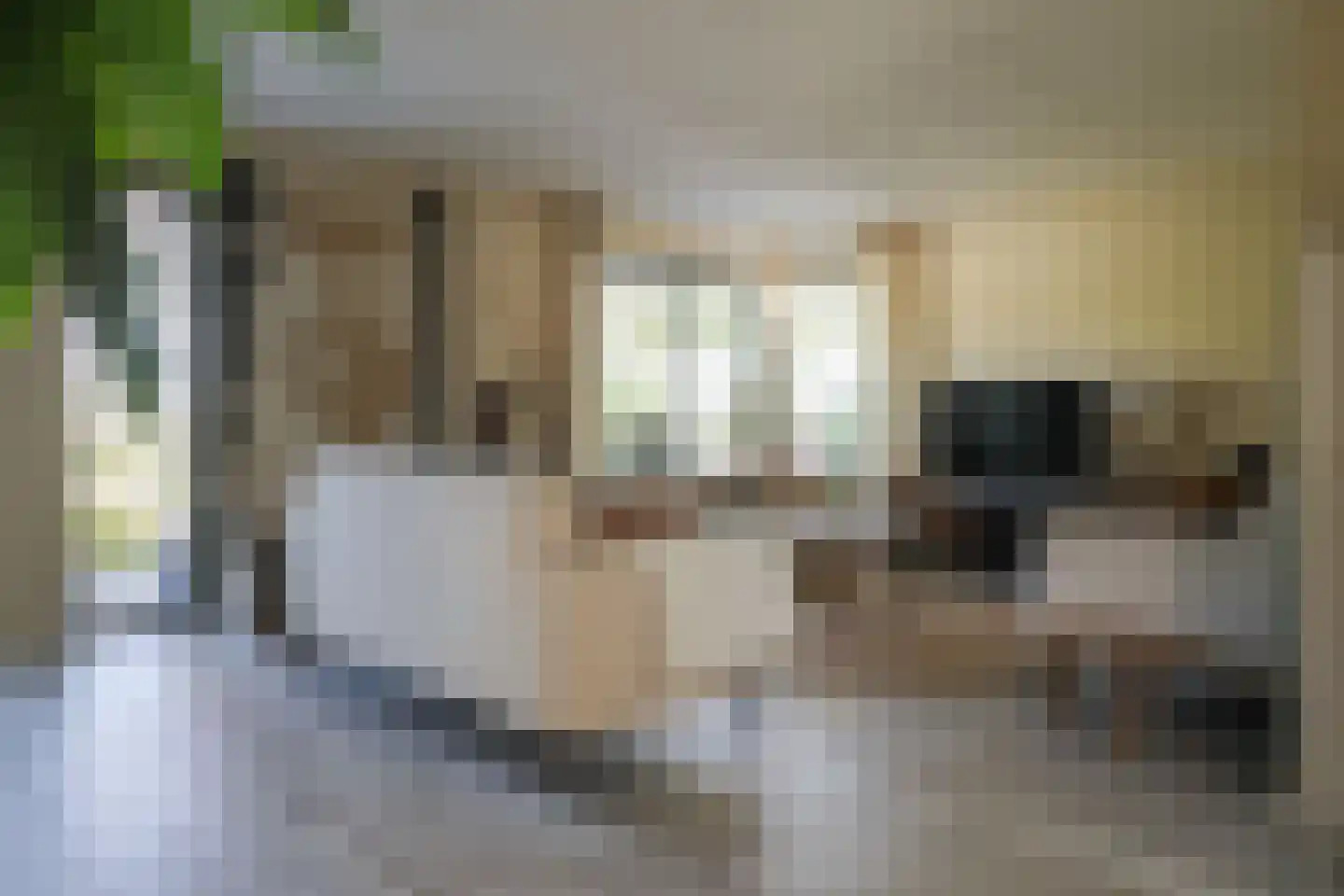 van Emingaleane 4 Goutum thumbnail 20