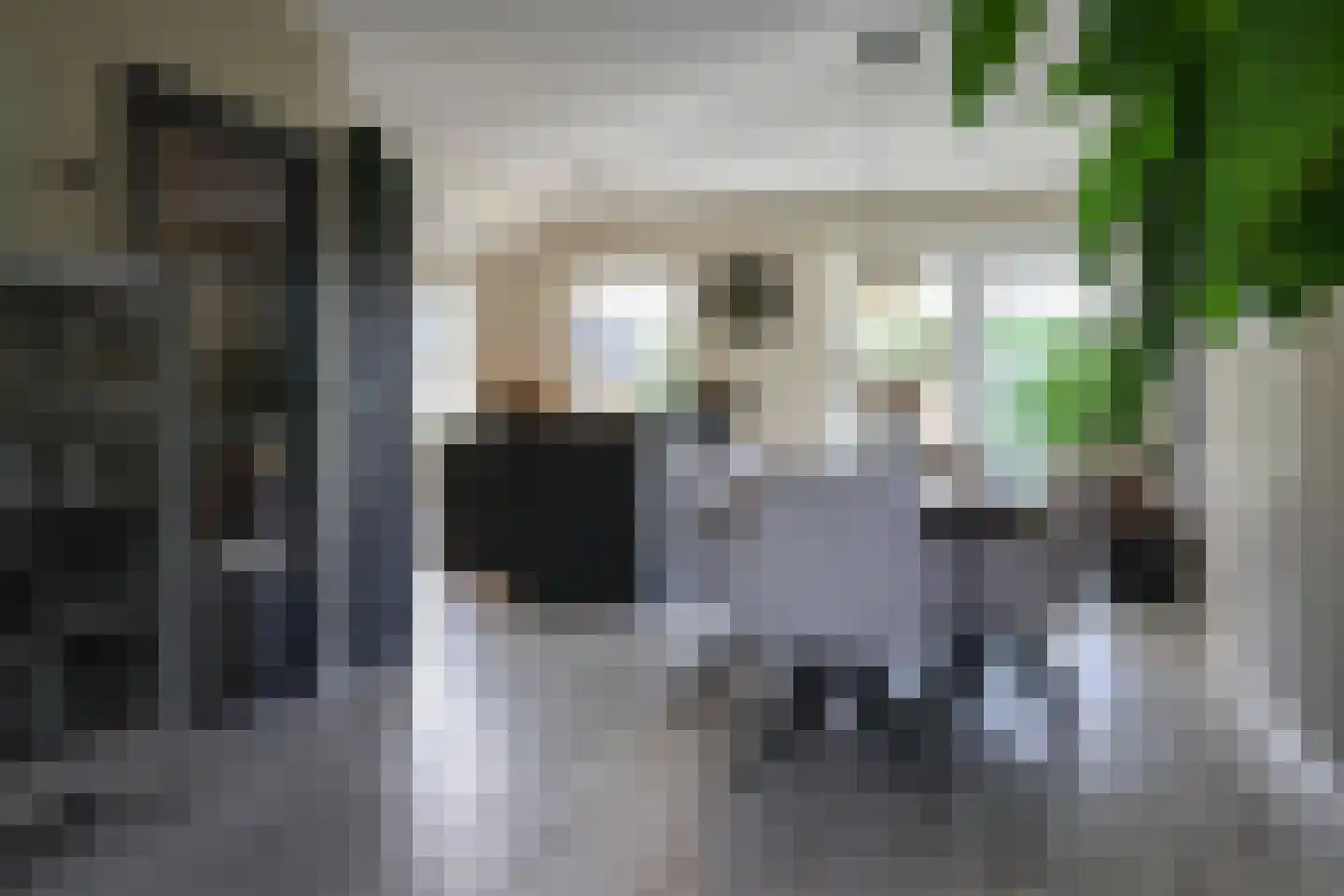 van Emingaleane 4 Goutum thumbnail 30