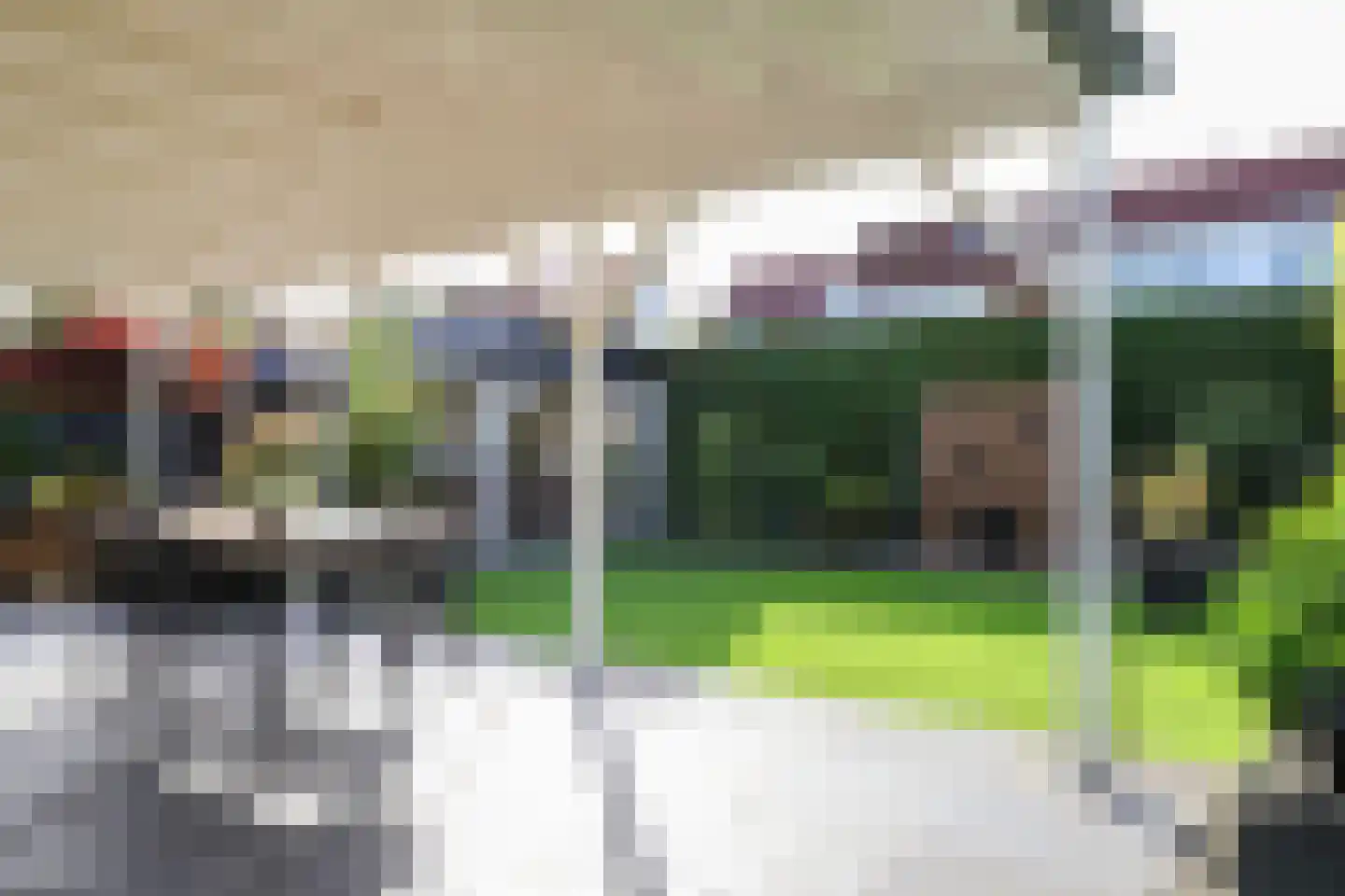 van Emingaleane 4 Goutum thumbnail 33