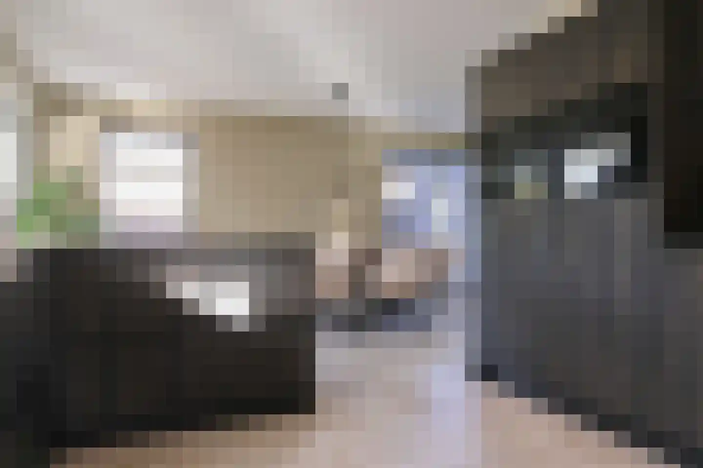 van Emingaleane 4 Goutum thumbnail 39
