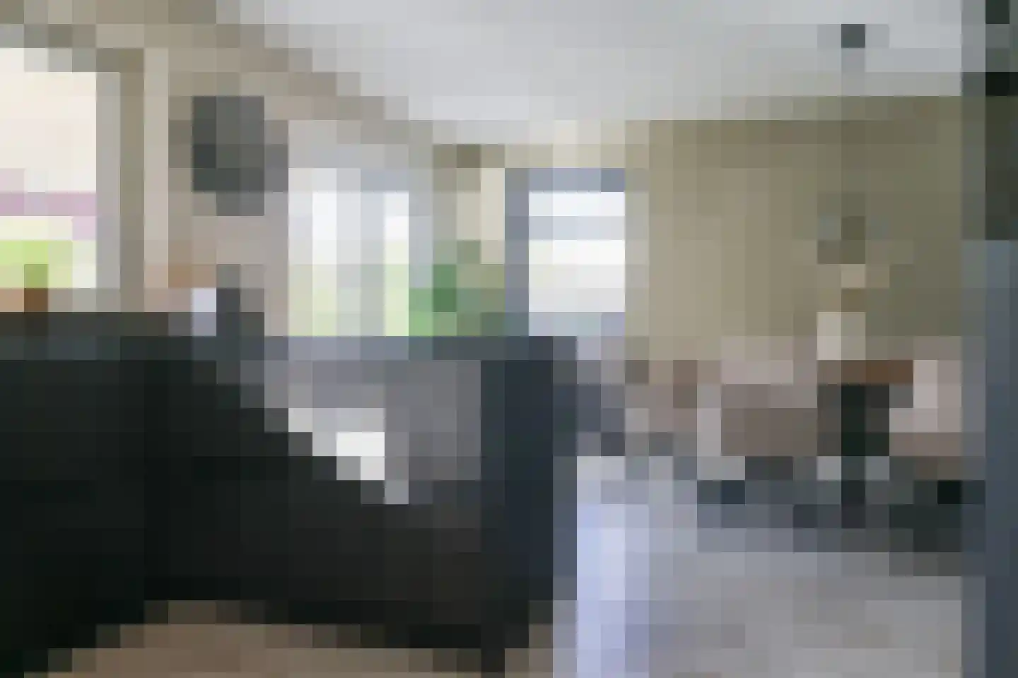 van Emingaleane 4 Goutum thumbnail 41