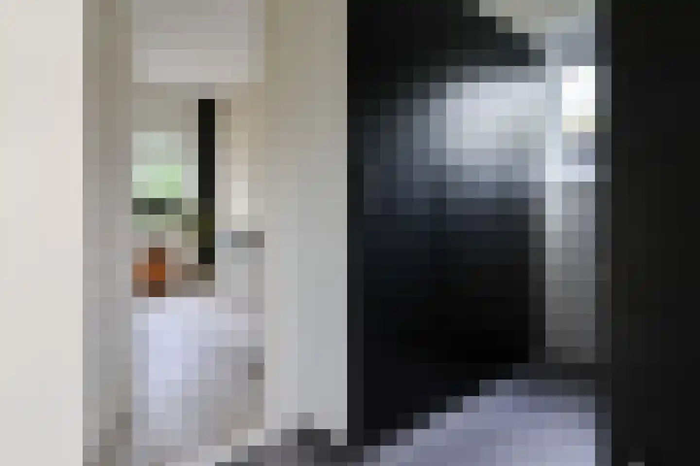 van Emingaleane 4 Goutum thumbnail 44