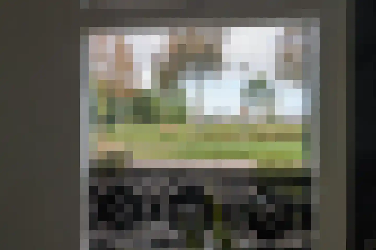 van Emingaleane 4 Goutum thumbnail 46