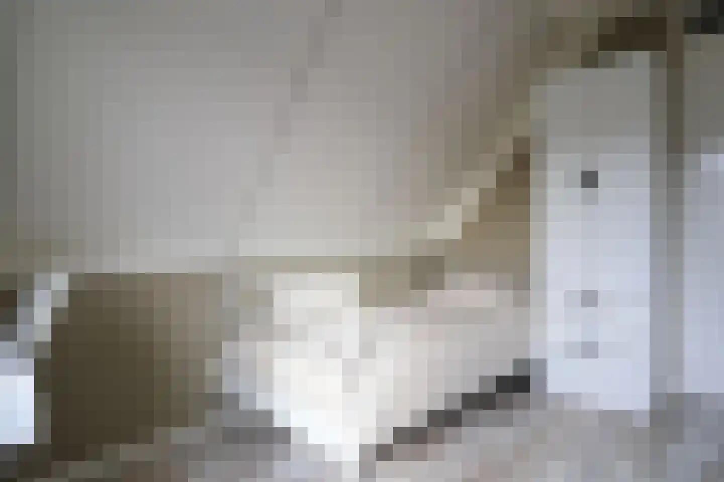 van Emingaleane 4 Goutum thumbnail 59