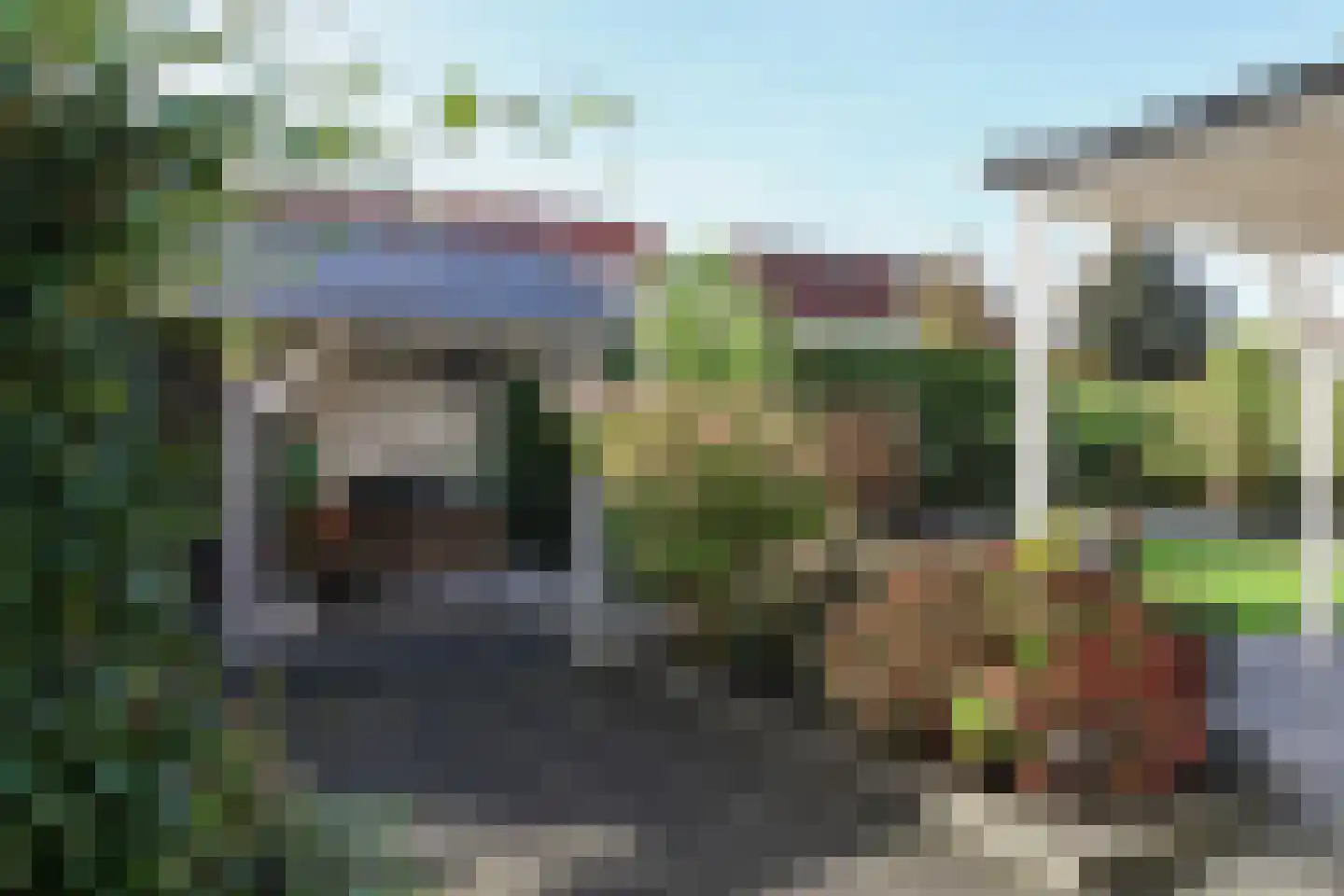 van Emingaleane 4 Goutum thumbnail 68