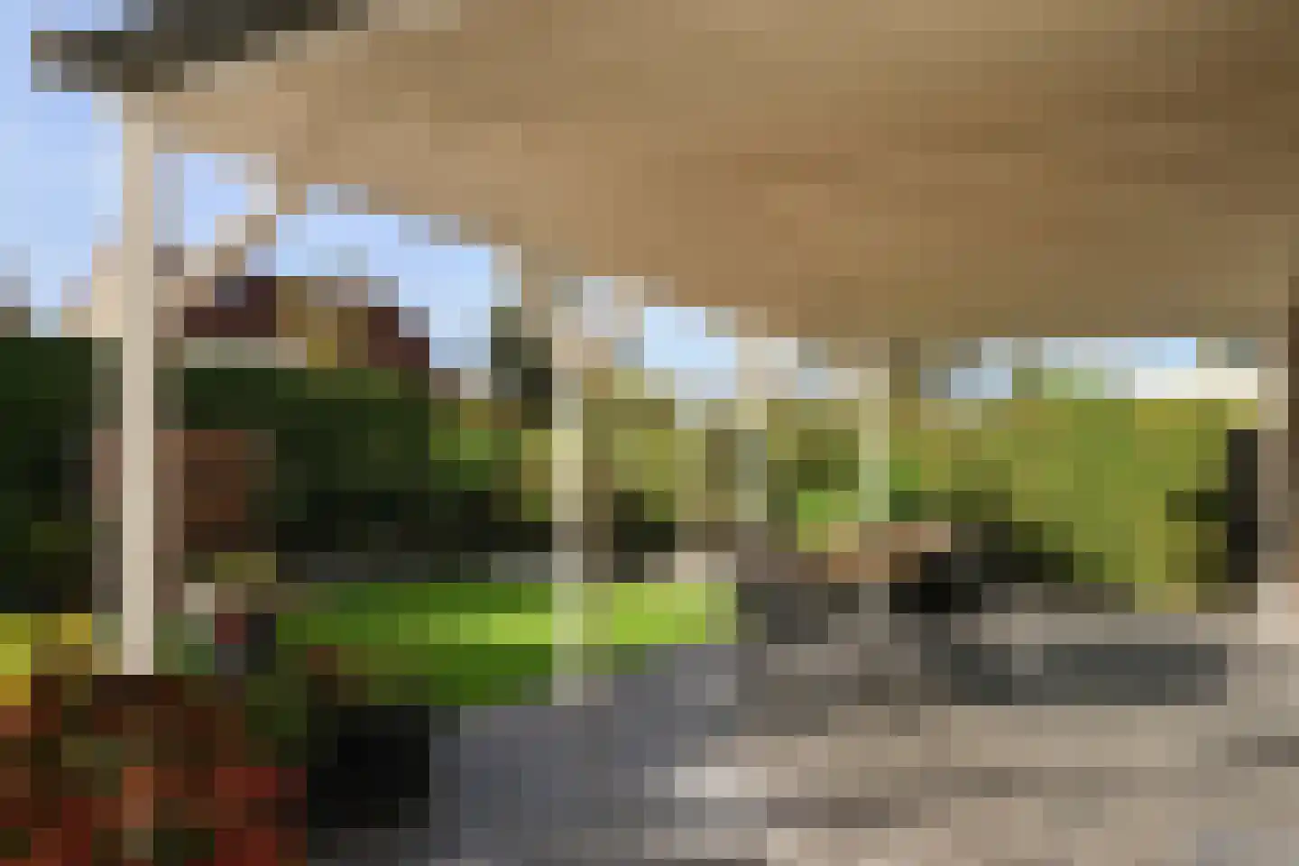 van Emingaleane 4 Goutum thumbnail 69