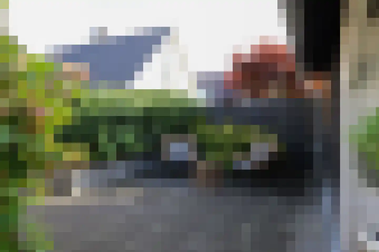 van Emingaleane 4 Goutum thumbnail 79