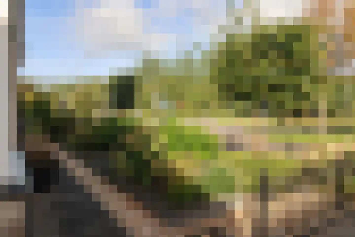 van Emingaleane 4 Goutum thumbnail 8