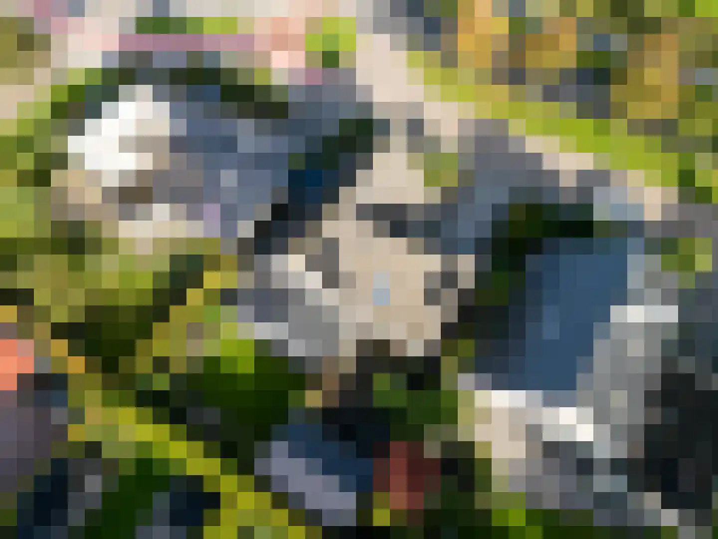 van Emingaleane 4 Goutum thumbnail 81