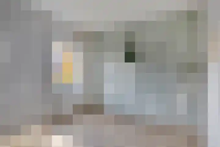 Van Emsthof 21 Ermelo thumbnail 15