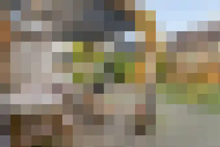 Van Emsthof 21 Ermelo thumbnail 25