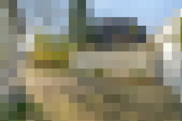 Van Emsthof 21 Ermelo thumbnail 27