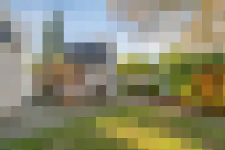 Van Emsthof 21 Ermelo thumbnail 6