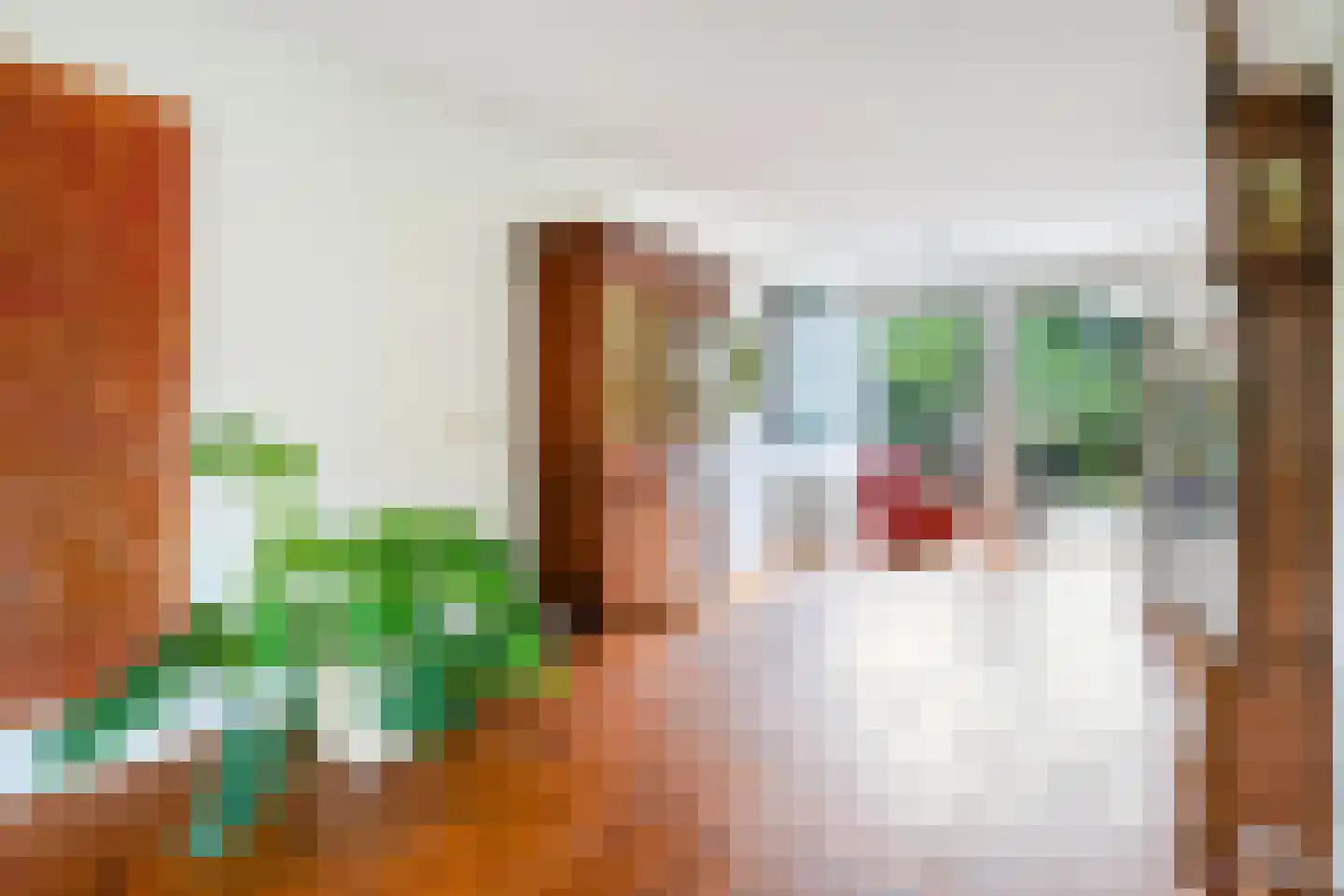 van Emstplein 41 Appelscha thumbnail 13