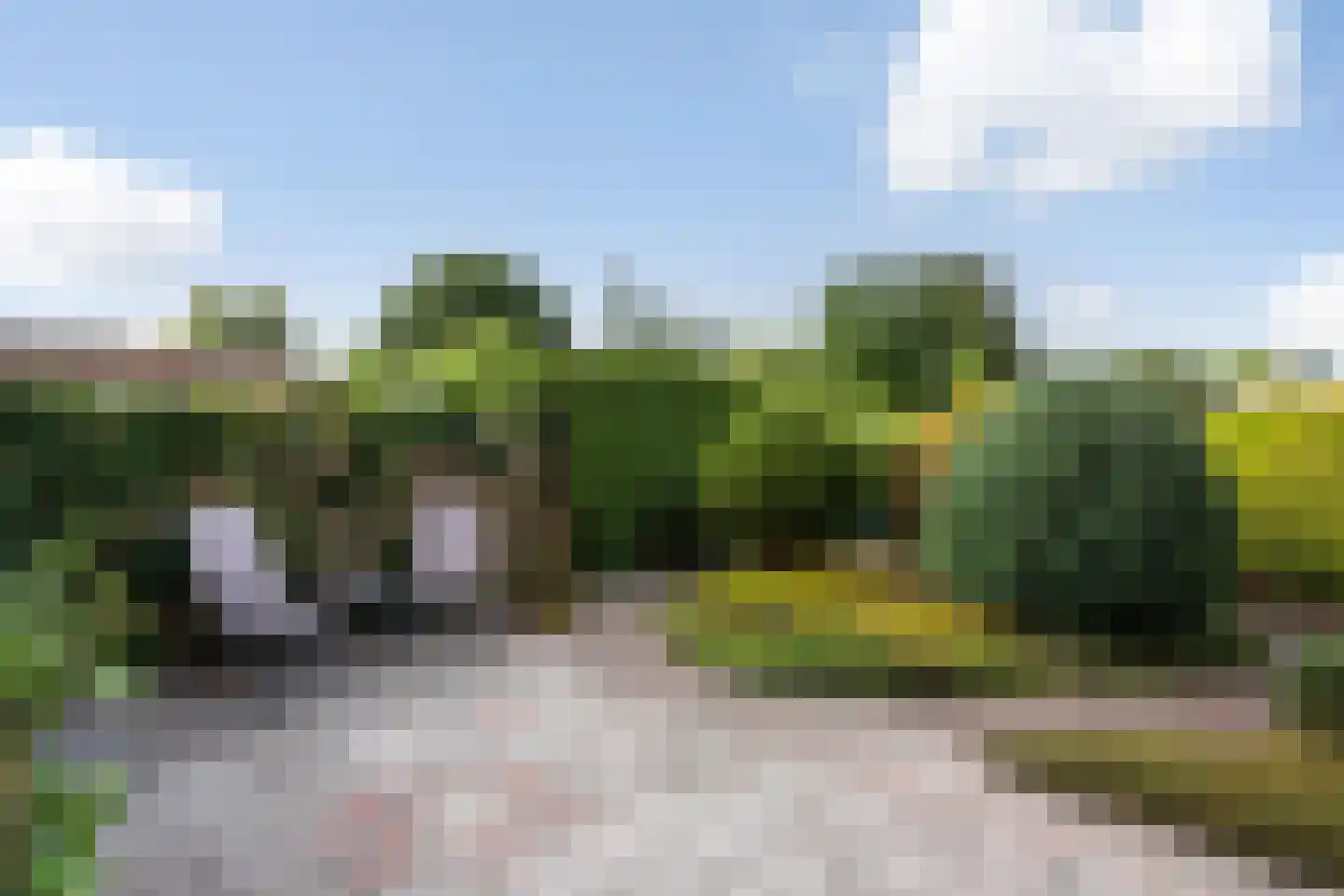 van Emstplein 41 Appelscha thumbnail 19