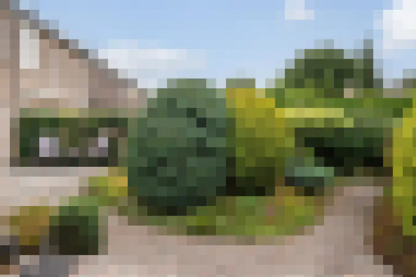 van Emstplein 41 Appelscha thumbnail 20