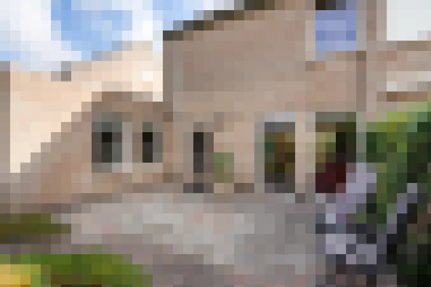 van Emstplein 41 Appelscha thumbnail 21