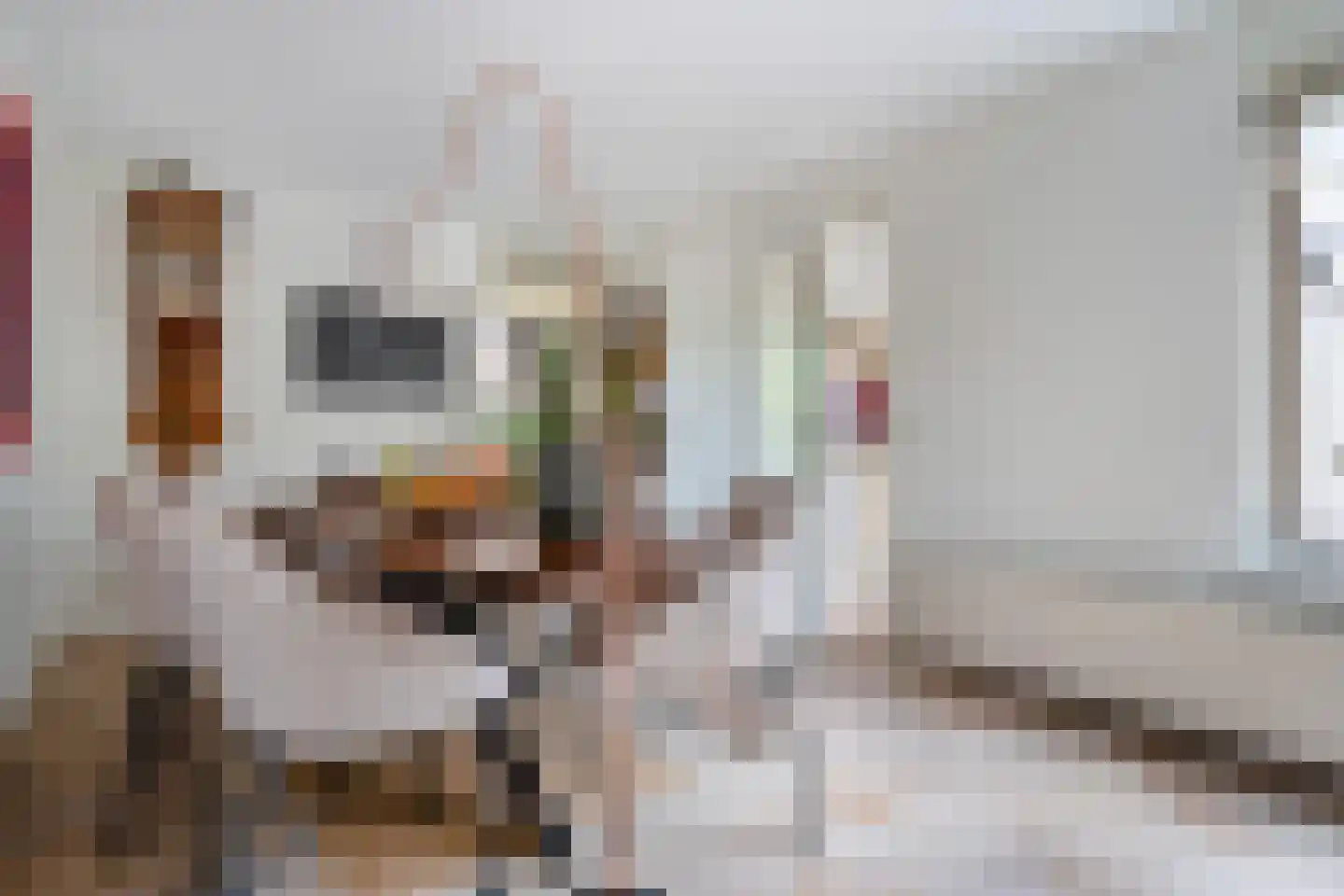 van Emstplein 41 Appelscha thumbnail 22